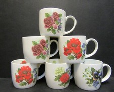 SET OF 6 MUGS DATA RAY FLOWER