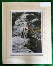 STEVEN TOWNSEND River Jewel