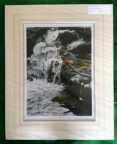 Steven townsend river jewel - townsend,