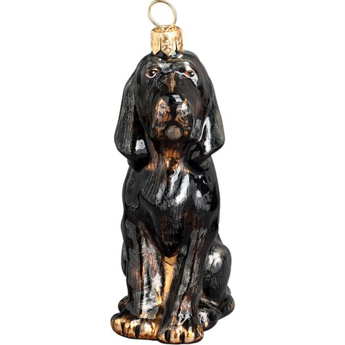 Black and tan coonhound polish - black,