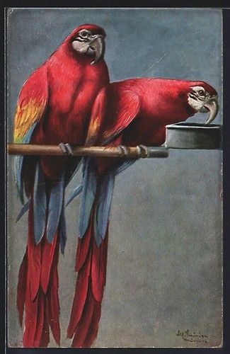 Artist alfred schönian - artist-ak,