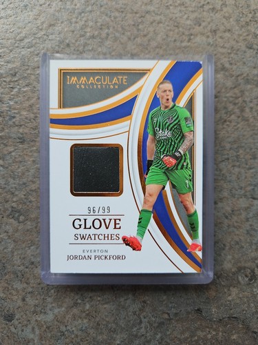 Jordan pickford glove patch - glove,
