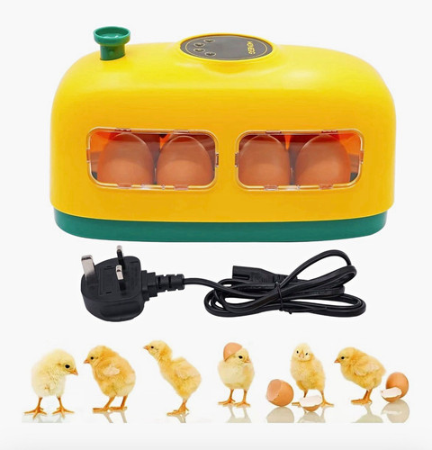 Little train egg - little, incubator