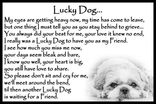 Shih tzu pet dog memorial - pet,