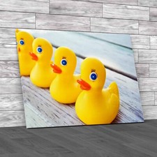 Charming Rubber Ducks For