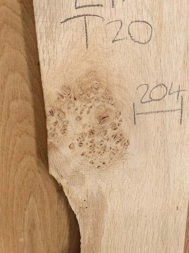 089 english oak character - oak,