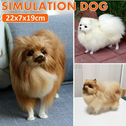 Realistic plush pomeranian - plush, dog