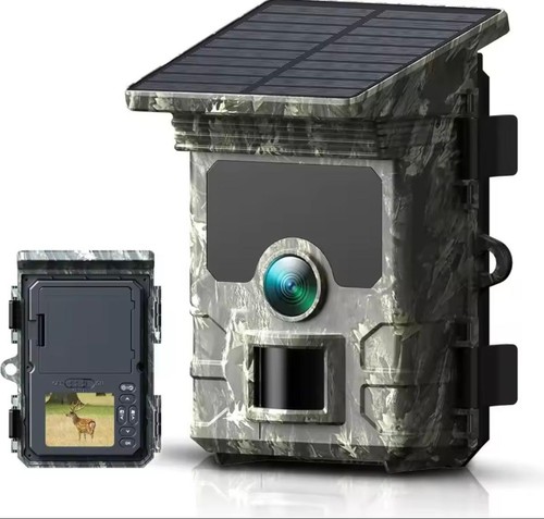 Trail camera wild - trail, life