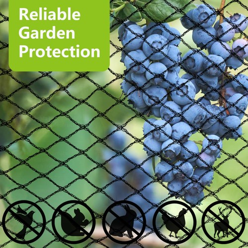 Bird netting net anti pest - bird,