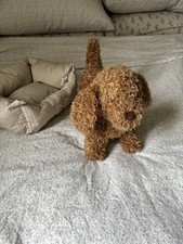Zara Home Kids Bobby Dog With