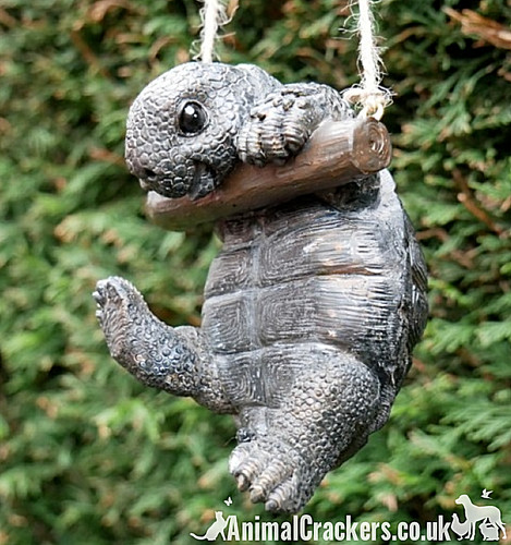 Rope hanging tortoise tree - rope,