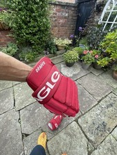 Eagle X70 Ice Hockey Gloves(k