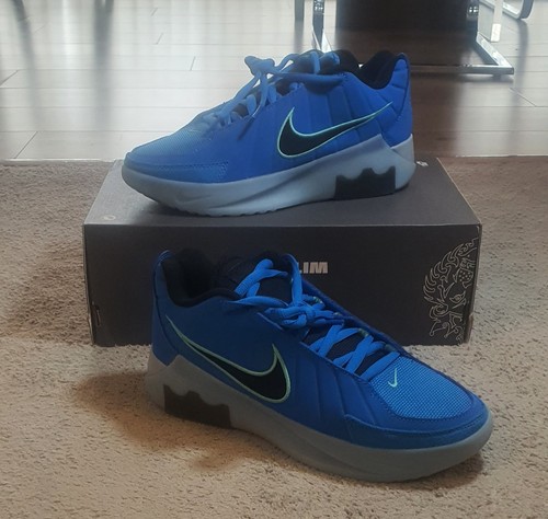 Nike lebron witness ix - ,