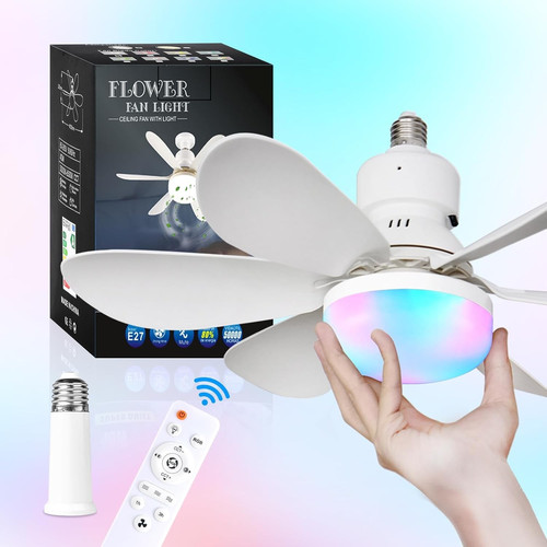 Ceiling light with fan - light,