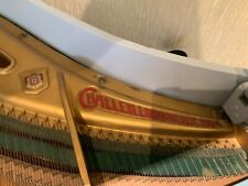 mini grand piano baby blue by