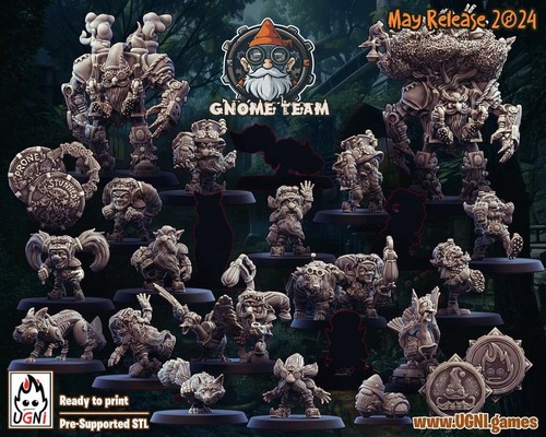 Fantasy football team - football, gnome