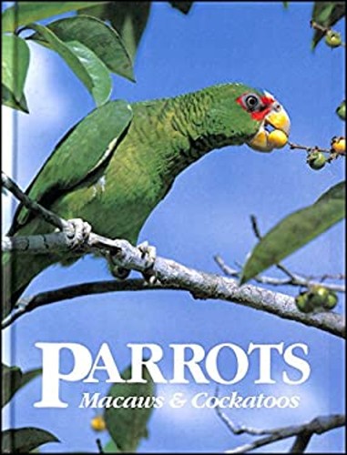 Parrots macaws and - macaws,