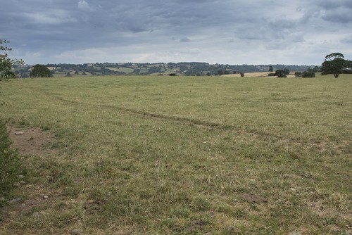 Photo 12x8 pasture - photo,