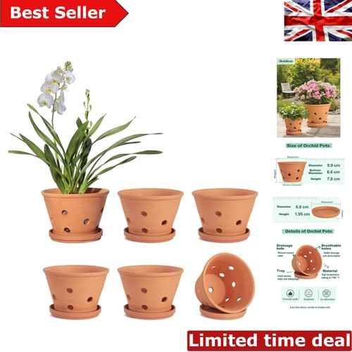 10cm terracotta pots with - pots,