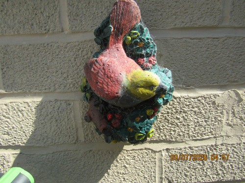 Garden ornaments latex - ornaments,