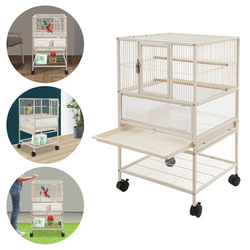 Bird cage flight - bird, cage,