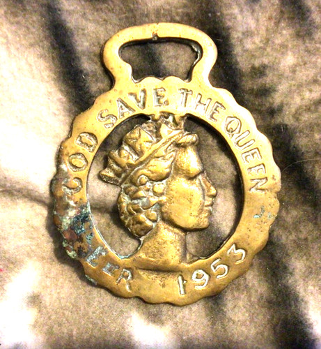Royal coronation horse - royal,