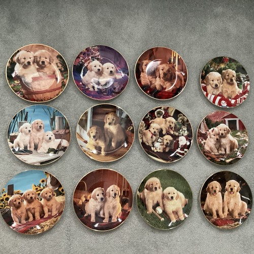 Royal doulton collector - 12, x