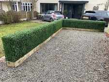 Artificial boxwood hedge - boxwood, cm