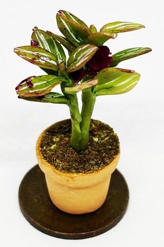 Dolls house pink - house, green
