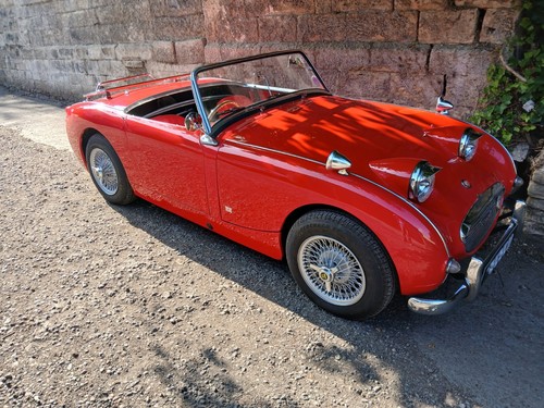 Austin healey frogeyed sprite - healey,