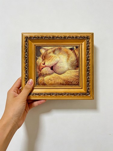 Fluffy ginger cat - ginger,