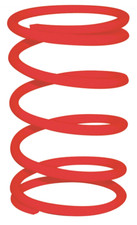 Malossi RED contrast spring