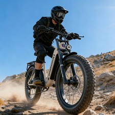 Shengmilo Dual Motor Electric