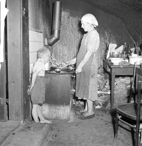 Farmer woman cooking - woman,