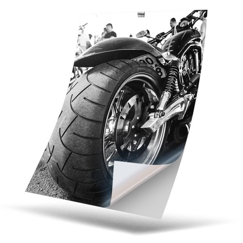 Vinyl sticker - vinyl,