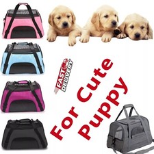 Large pet carrier - pet, bag
