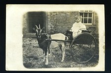 Child on GOAT CART. Real Photo