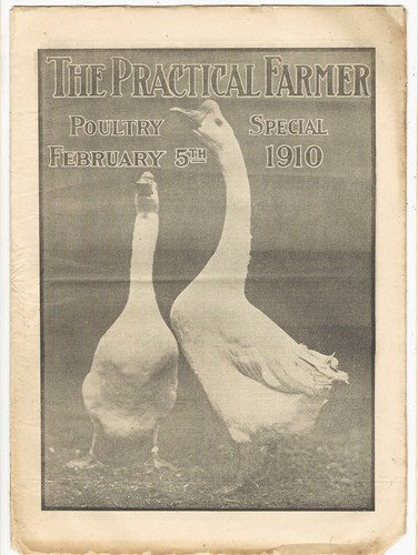 Feb 1910 practical - feb,