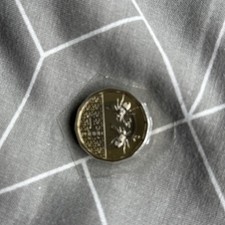 RARE NIFC 2025 KING CHARLES III UNC BEES £1 ONE POUND COIN