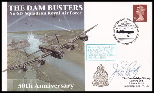 Dams raid pilot joe - raid,