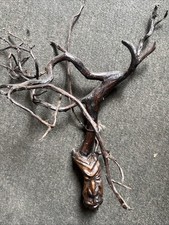 Africano Tree Face Carving