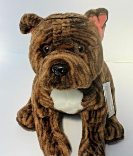 Brindle staffordshire bull - brindle,