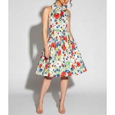 TRASHY DIVA Streetcar Dress