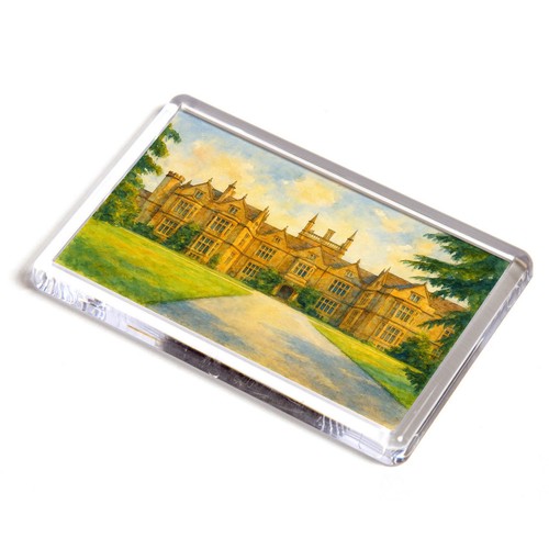 Fridge magnet the - -, court