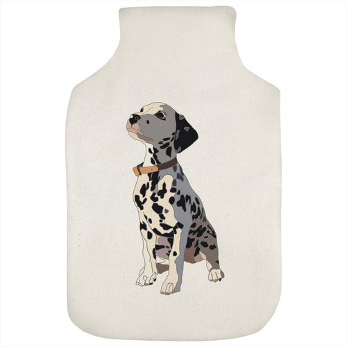 Dalmation puppy hot water - puppy',
