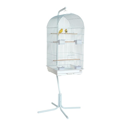 Rainforest caracus large - caracus, white