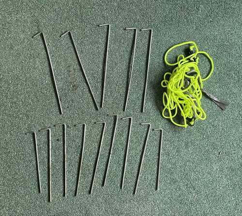 Tent pegs and bag - tent,