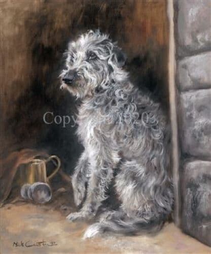 Mick cawston alfred - mick, lurcher