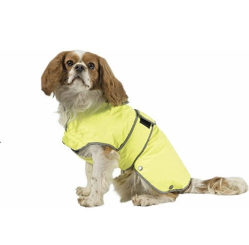 Reflective dog coat yellow - reflective,