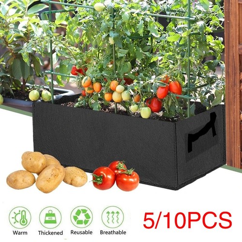 10pcs large plant grow bag - 1/10pcs,